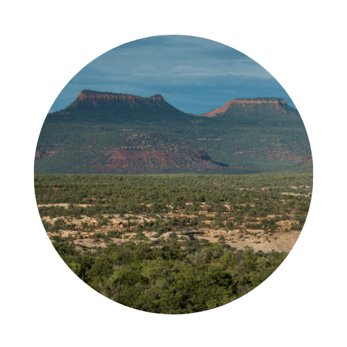 Bears Ears Buttes
