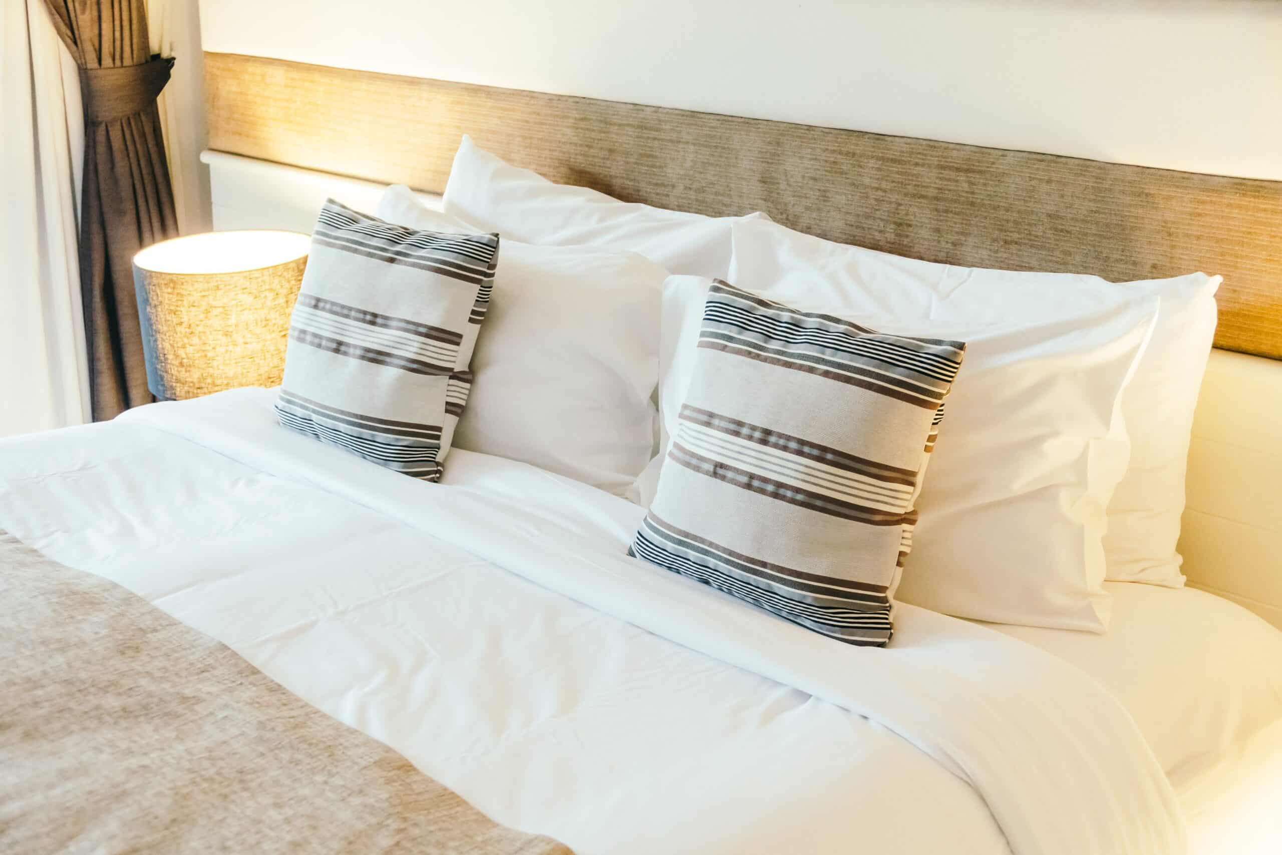 BLUFF DARK SKY FESTIVAL 4 Places to Stay